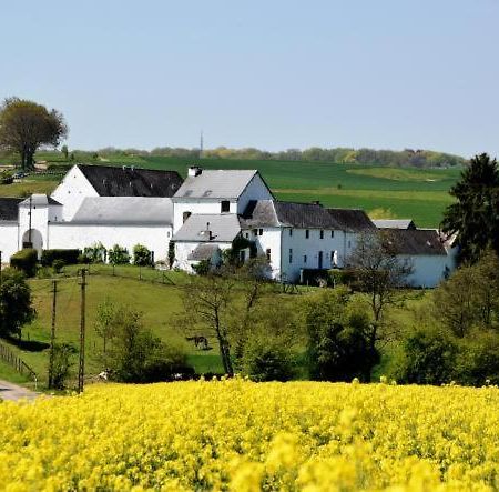 Penzion La Ferme De Basseilles Mozet Exteriér fotografie