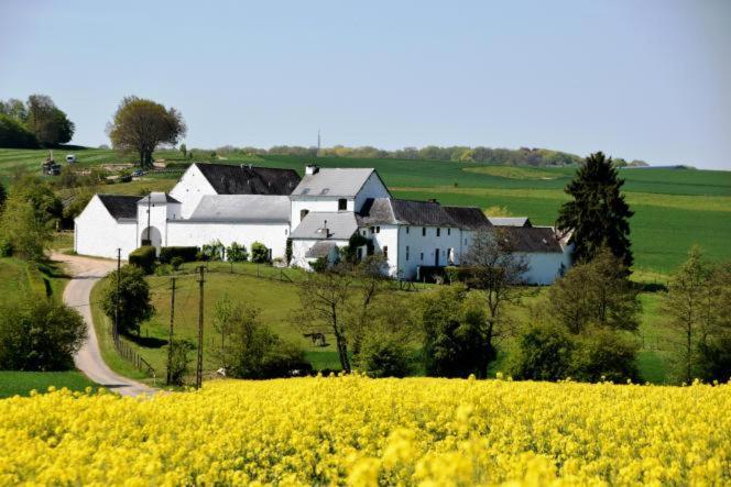 Penzion La Ferme De Basseilles Mozet Exteriér fotografie